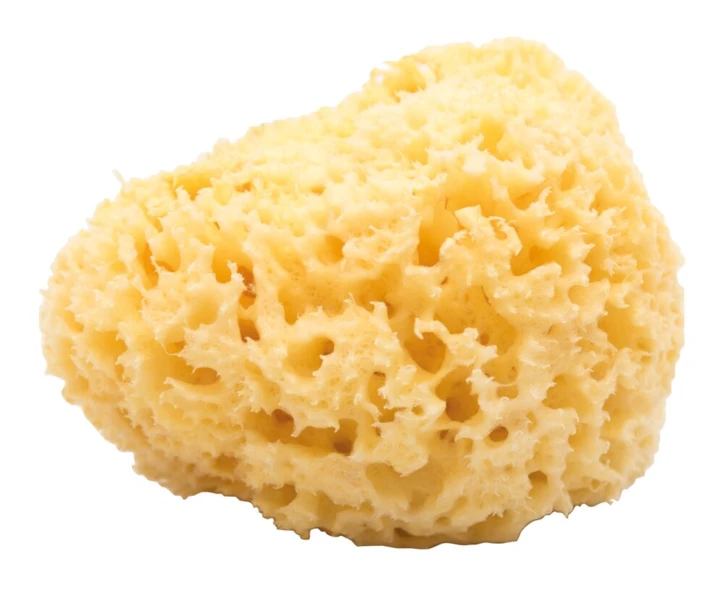 Éponge naturelle
