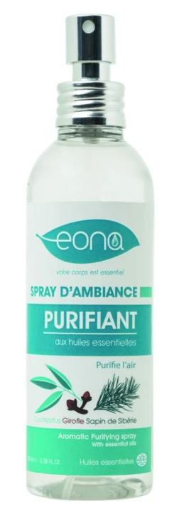 Spray Purifiant 
