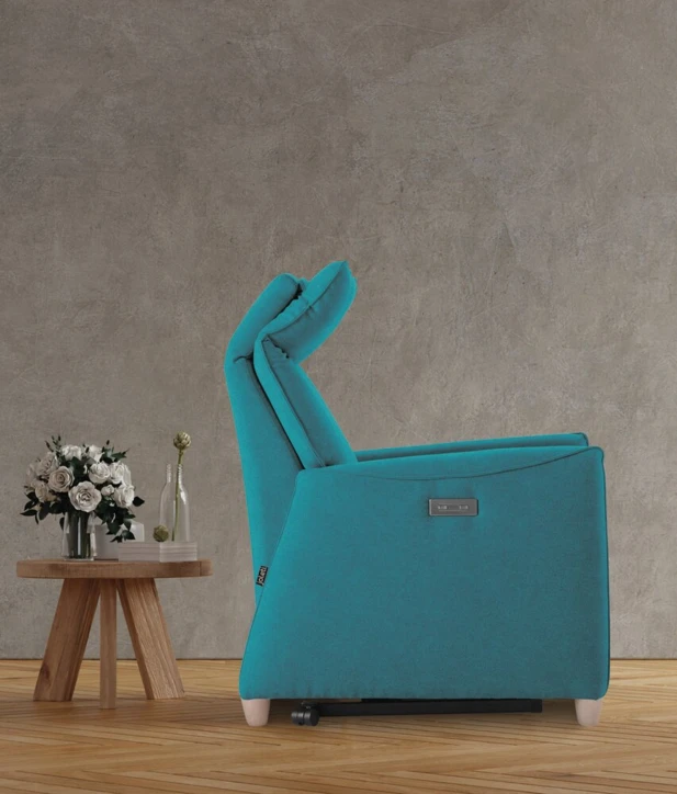 Fauteuil releveur BÂLE - 2 moteurs