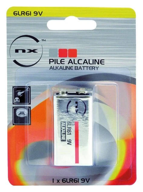 Pile alcaline