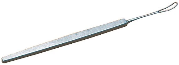 Anse de Snellen JOLETI