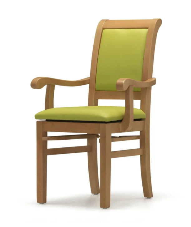 Chaise avec accoudoirs WOODY