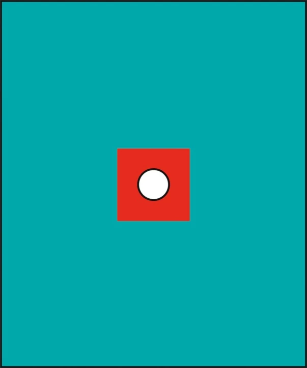 Champ fenêtre centrée stérile RAUCODRAPE®