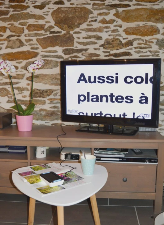 Loupe électronique MEMORYS