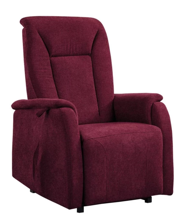 Fauteuil releveur BORAS - 2 moteurs