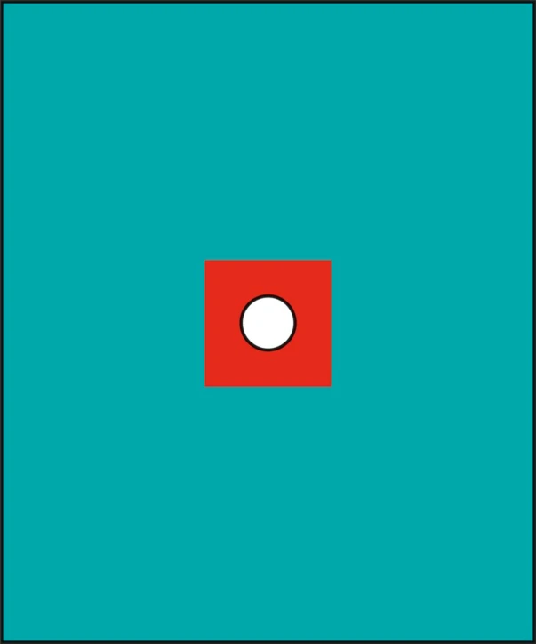 Champ fenêtre centrée stérile RAUCODRAPE®