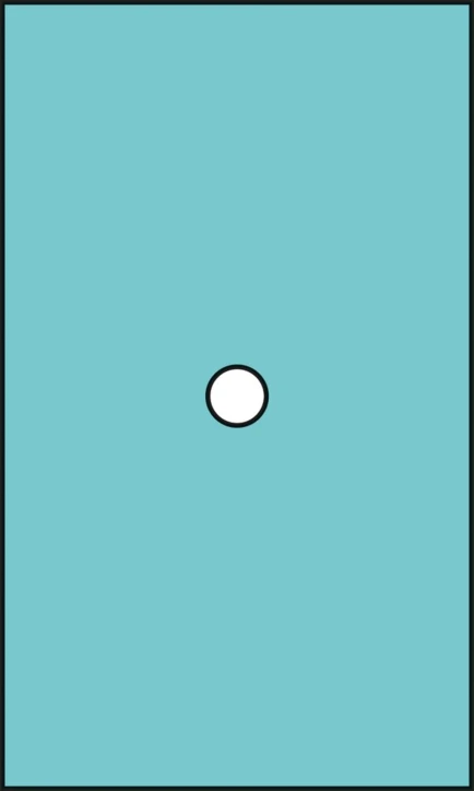 Champ fenêtre centrée stérile RAUCODRAPE®