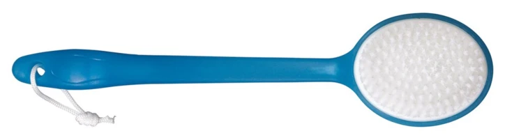 Brosse à manche long