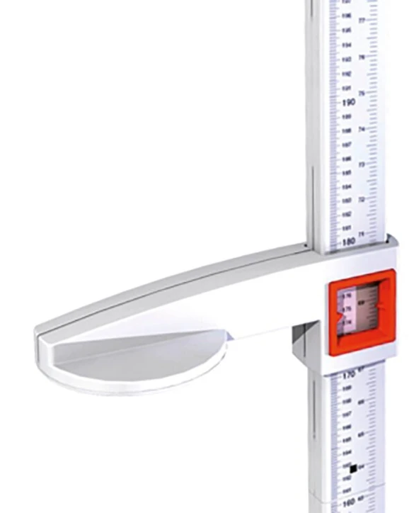 Toise sur pied SECA 213