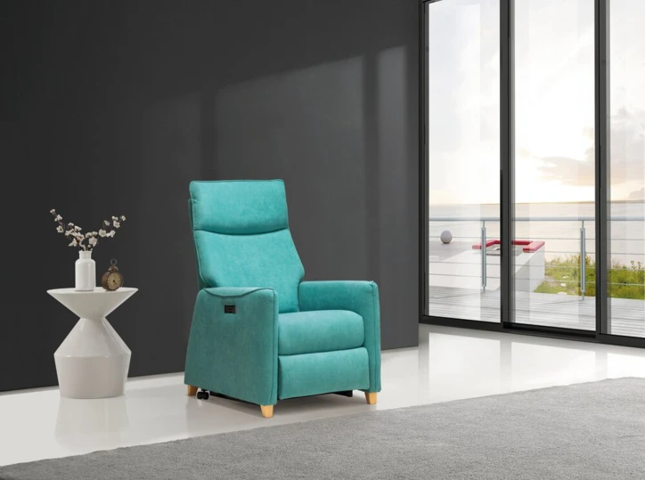 Fauteuil releveur BÂLE - 2 moteurs