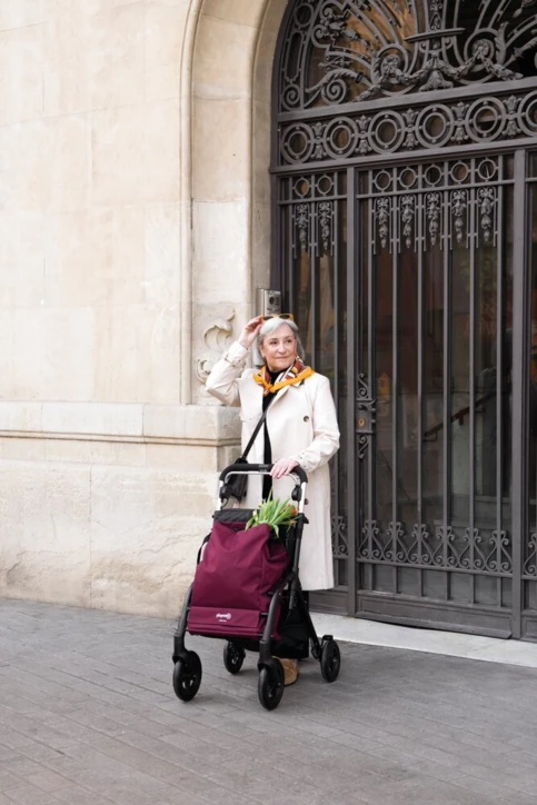 Rollator chariot de courses 4 roues R05