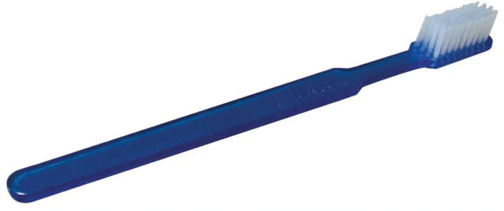 Brosse à dents imprégnée de dentifrice