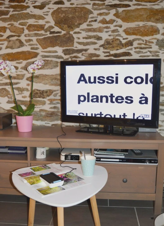 Loupe électronique MEMORYS