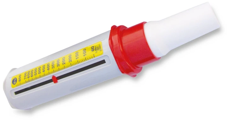 Débitmètre de pointe MINI WRIGHT