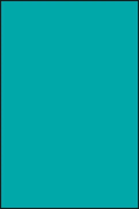 Champ d'approche stérile RAUCODRAPE PRO®