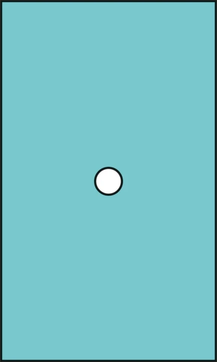 Champ fenêtre centrée stérile RAUCODRAPE®