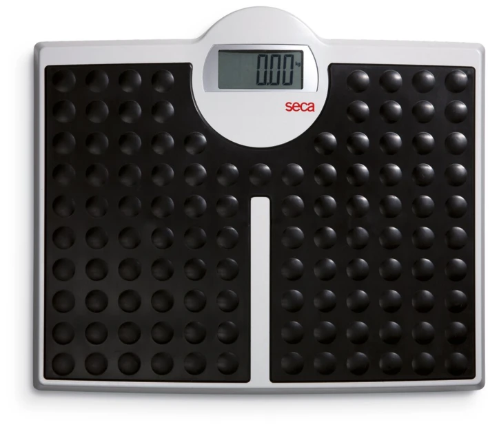 Pèse personne SECA ROBUSTA 813