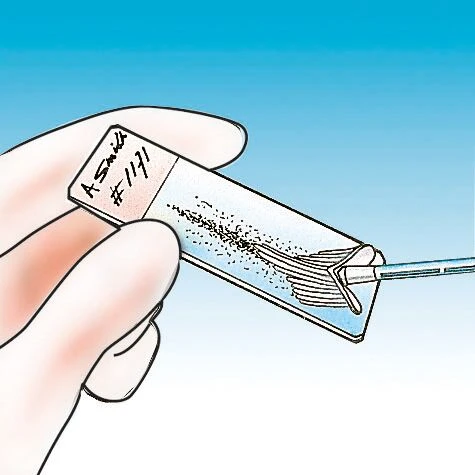 Brosse CERVEX BRUSH®