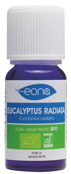 Huiles essentielles Eucalyptus radiata BIO